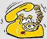 tel